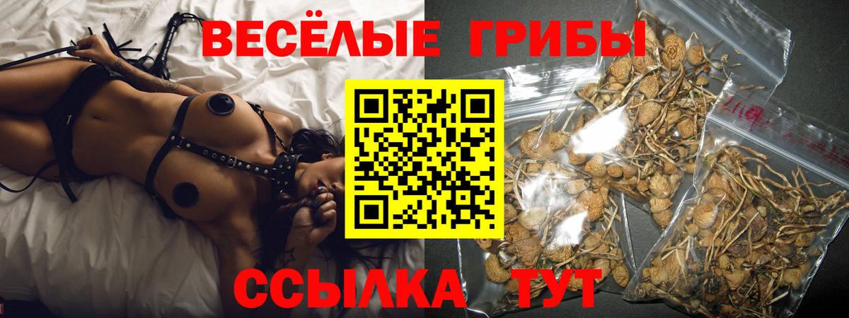 Галлюциногенные грибы GOLDEN TEACHER  Вход с VPN  Казань 