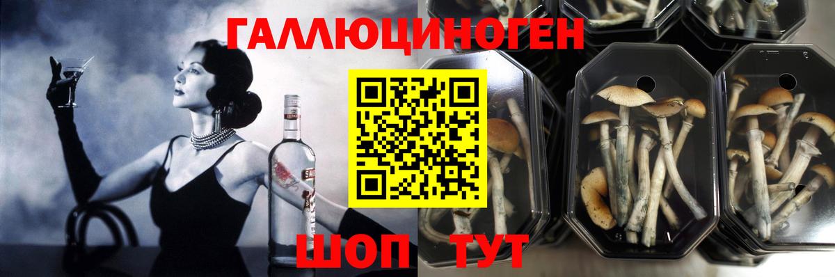 Галлюциногенные грибы мицелий Казань